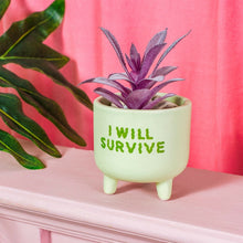 Load image into Gallery viewer, I Will Survive Green Mini Planter
