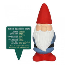 Load image into Gallery viewer, Novelty Garden Gnome Weather Forcaster With Comical Predictions

