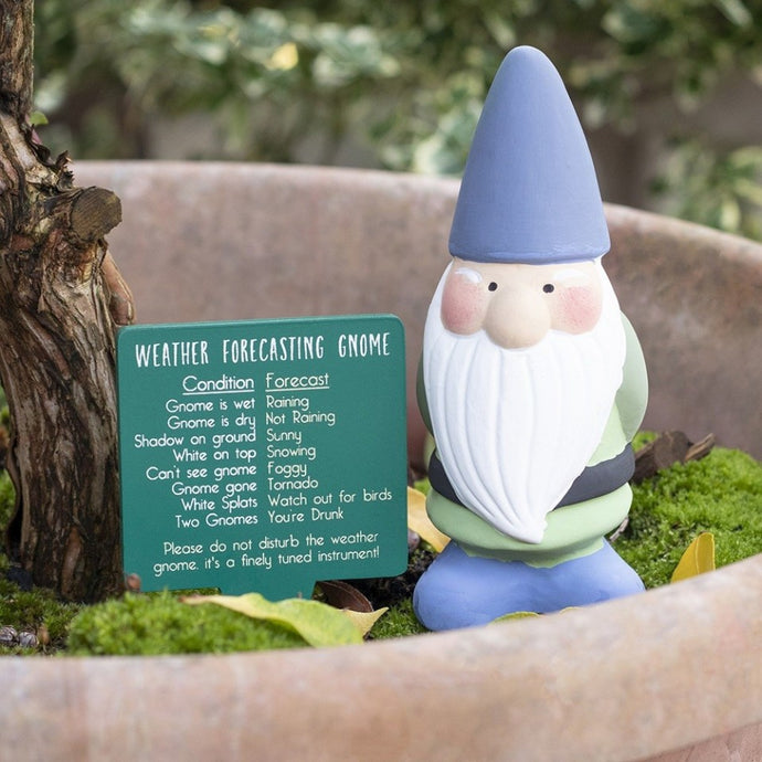 Novelty Garden Gnome Weather Forcaster With Comical Predictions